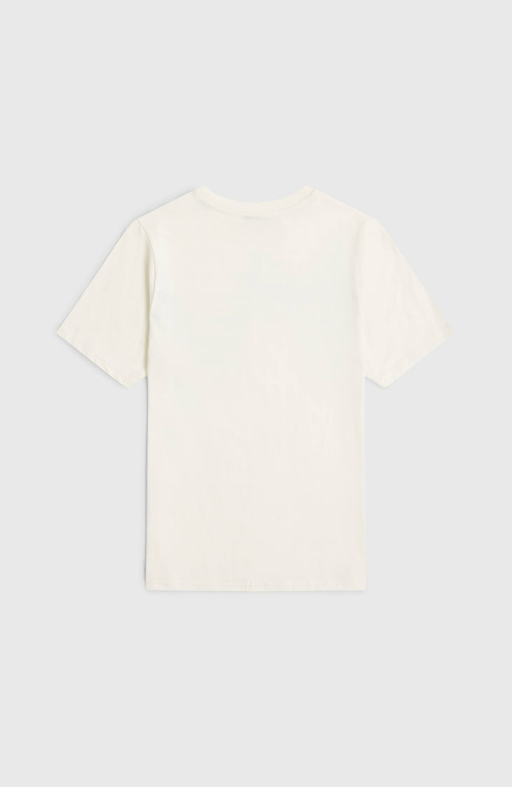 O'Neill Logo Stripe T-Shirt | Snow White