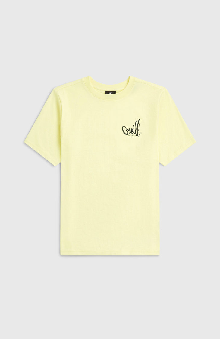 O'Neill Chest Print T-Shirt | Rainforest Dew