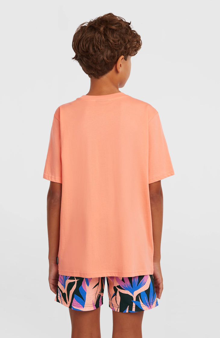 O'Neill Chest Print T-Shirt | Funky Peach