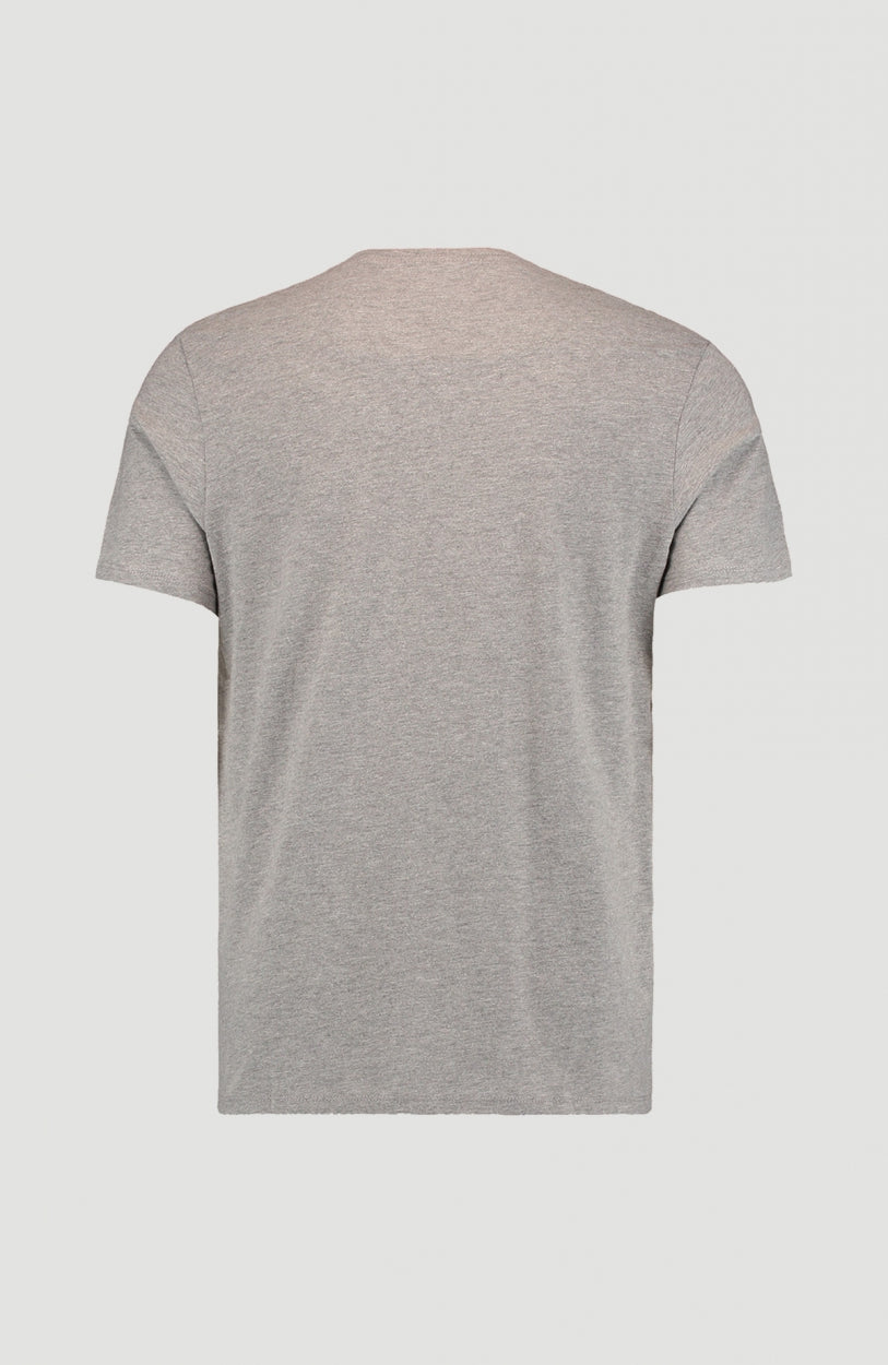 O'Neill Crew T-Shirt | Silver Melee -A