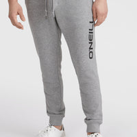 O'Neill Logo Sweatpants | Silver Melee -A