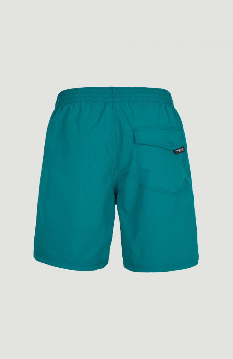 Vert 16'' Swim Shorts | Blue Coral