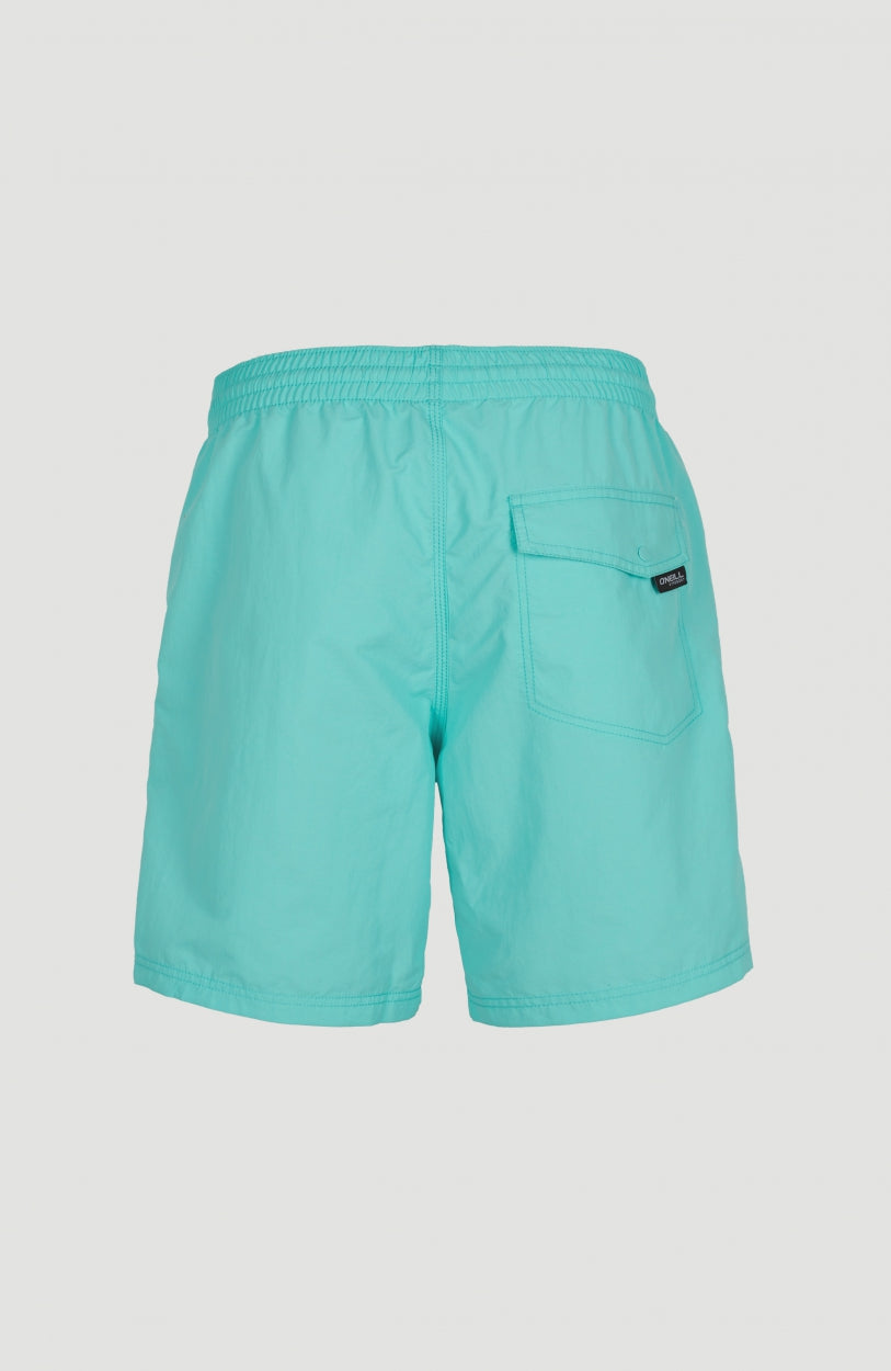 Vert 16'' Swim Shorts | Aqua Spalsh