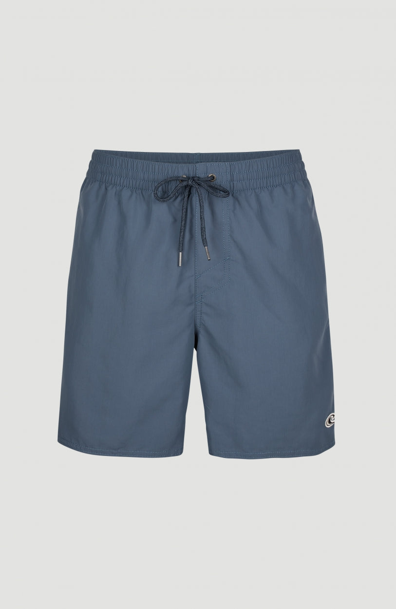 Vert 16'' Swim Shorts Dusty Blue -A – O'Neill