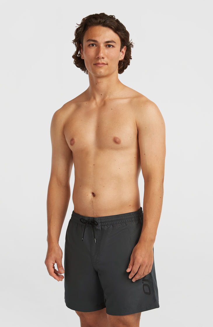 Cali 16'' Swim Shorts | Asphalt