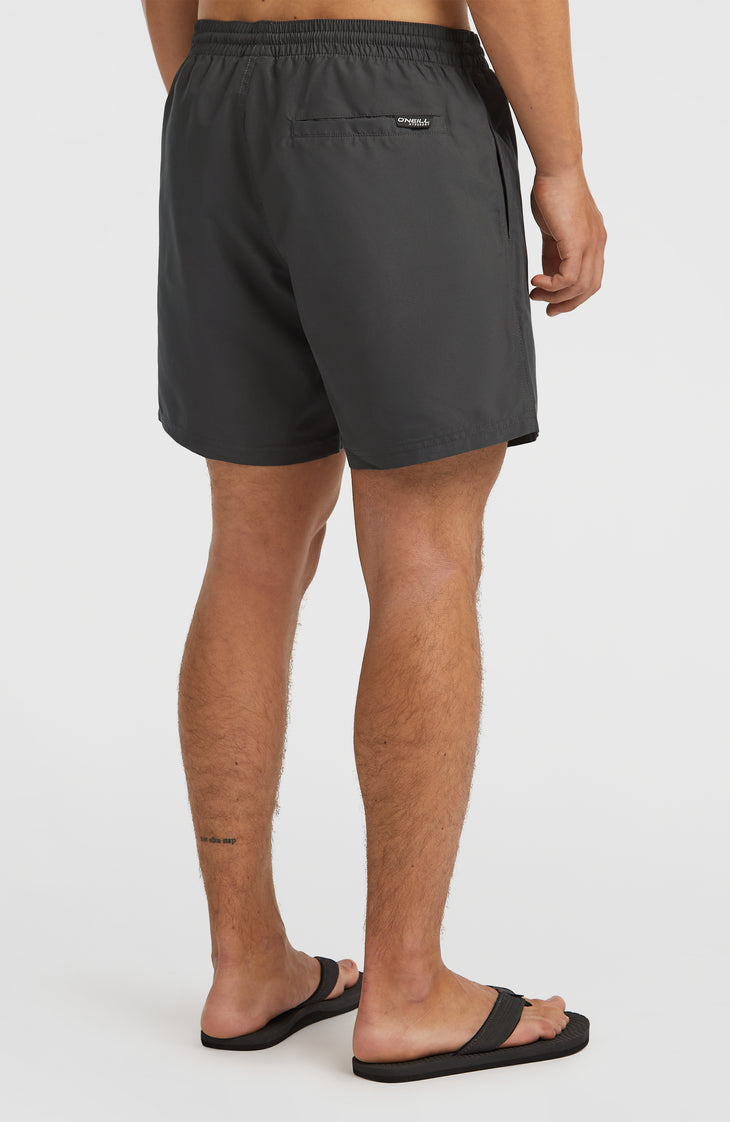 Cali 16'' Swim Shorts | Asphalt
