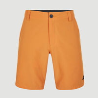 Hybrid Chino Shorts | Nugget