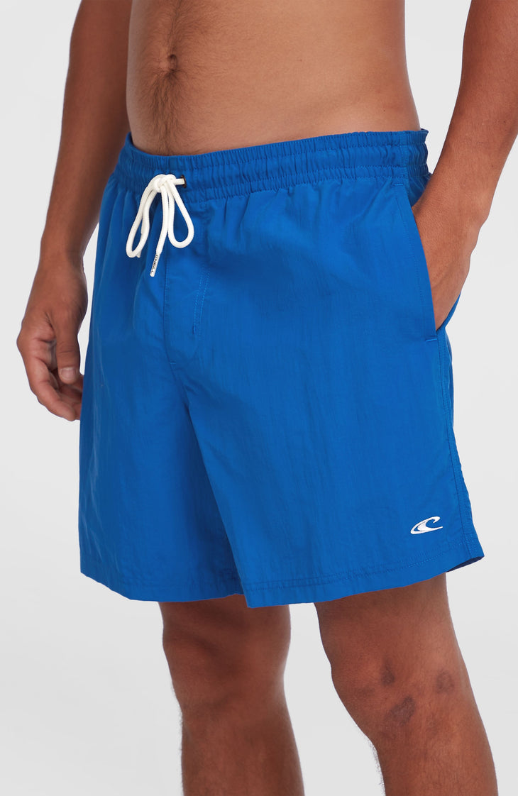 O'Neill Vert 16" Swim Shorts | Victoria Blue