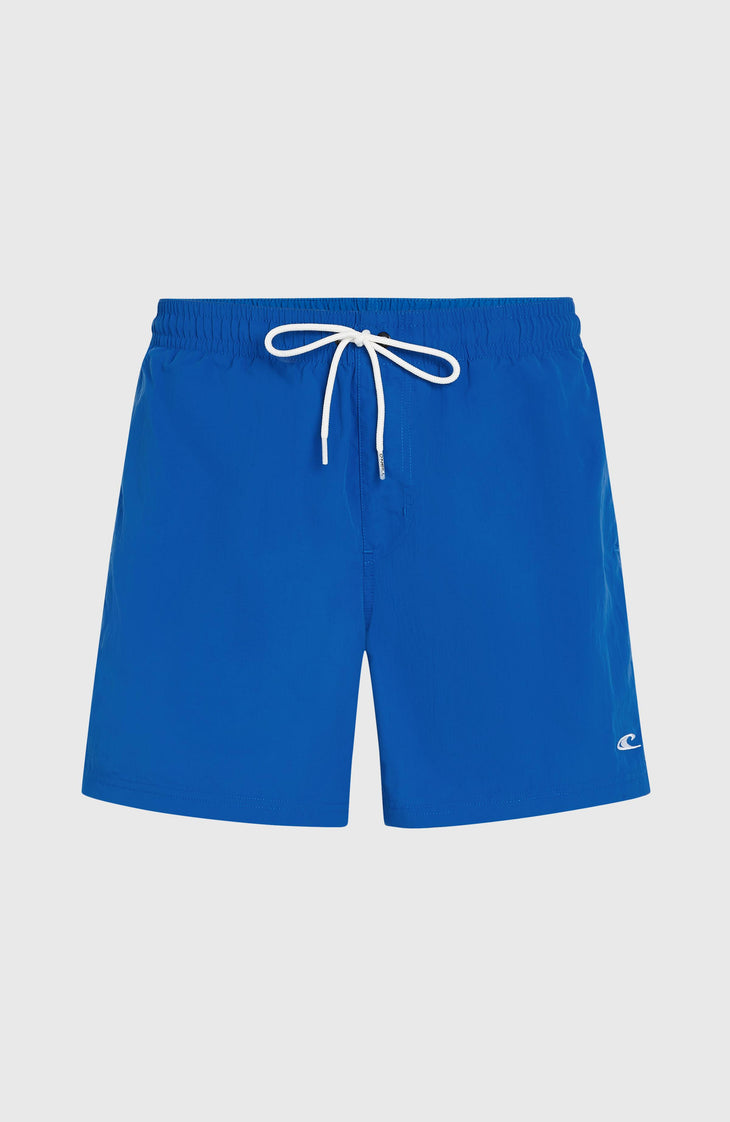 O'Neill Vert 16" Swim Shorts | Victoria Blue