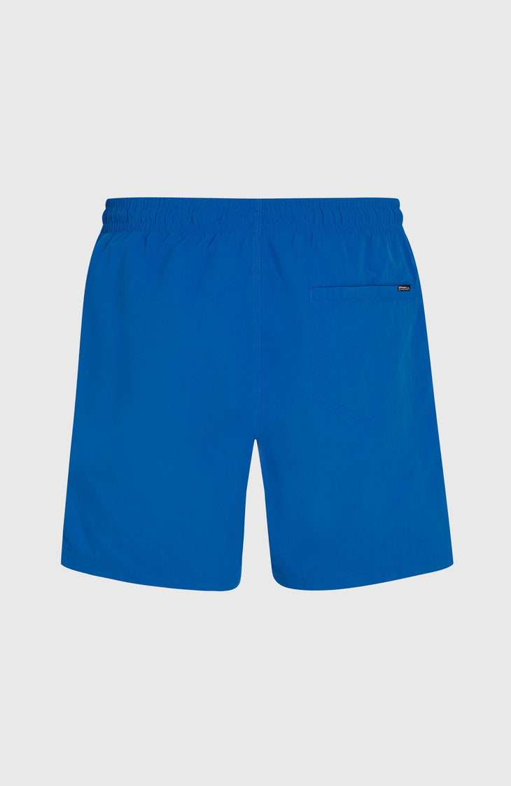 O'Neill Vert 16" Swim Shorts | Victoria Blue