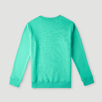 O'Neill Logo Crew Sweatshirt | Sea Green