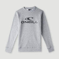 O'Neill Logo Crew Sweatshirt | Silver Melee