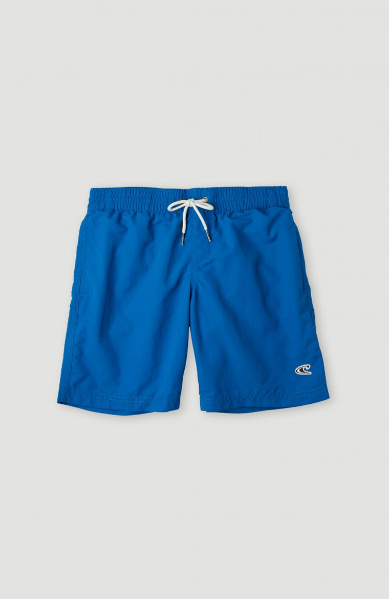 Vert 14'' Swim Shorts | Victoria Blue Vert 14'' Swim Shorts | Victoria Blue