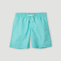 Vert 14'' Swim Shorts | Aqua Spalsh