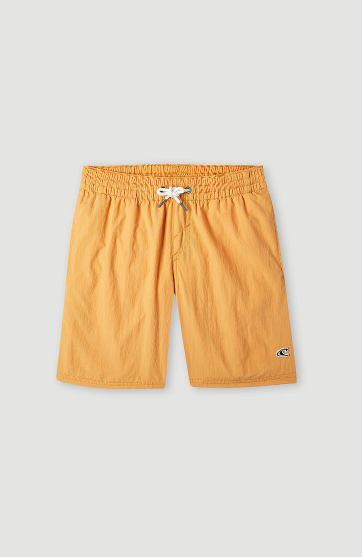 Vert 14'' Swim Shorts | Nugget