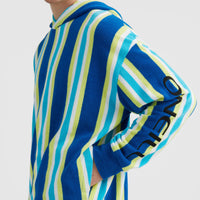 Brights Terry Hoodie | Blue Towel Stripe