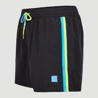 Vert Retro 14'' Swim Shorts | Black Out