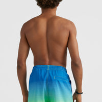 Cali Gradient 15'' Swim Shorts | Dark Blue Simple Gradient