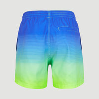 Cali Gradient 15'' Swim Shorts | Dark Blue Simple Gradient