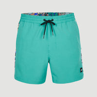 Coast Ocean 15'' Swim Shorts | Sea Green