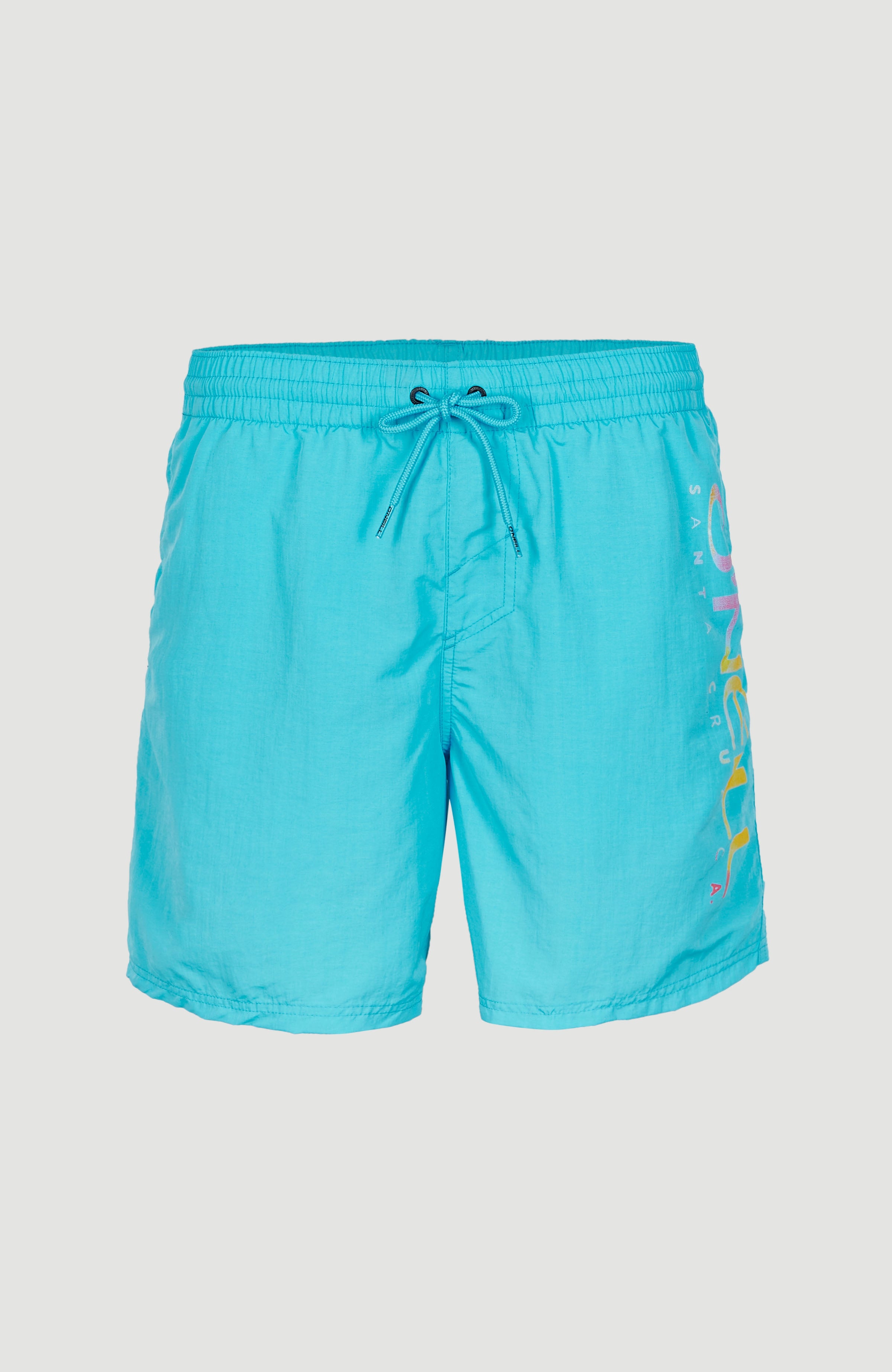 Men's Hawaiian Recycled Swim Shorts in Great Wave Blue Print