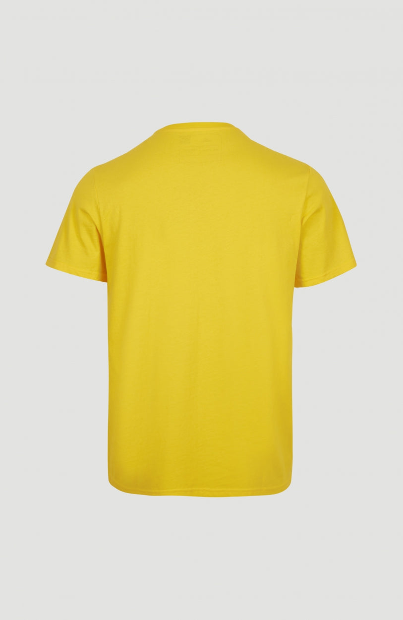 O'Neill Sea Breeze T-Shirt - Men's T-Shirts in Pale Yellow