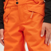 Anvil Snow Pants | Puffin's Bill