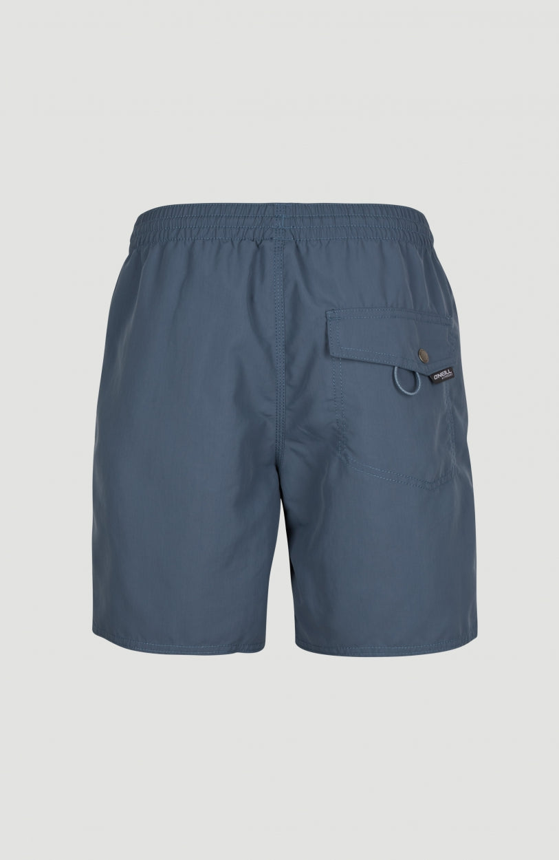 Vert Swim Shorts | Ensign Blue