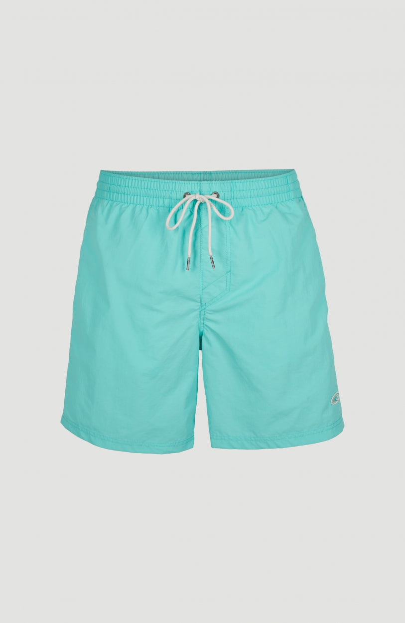 Vert Swim Shorts | Aqua Spalsh