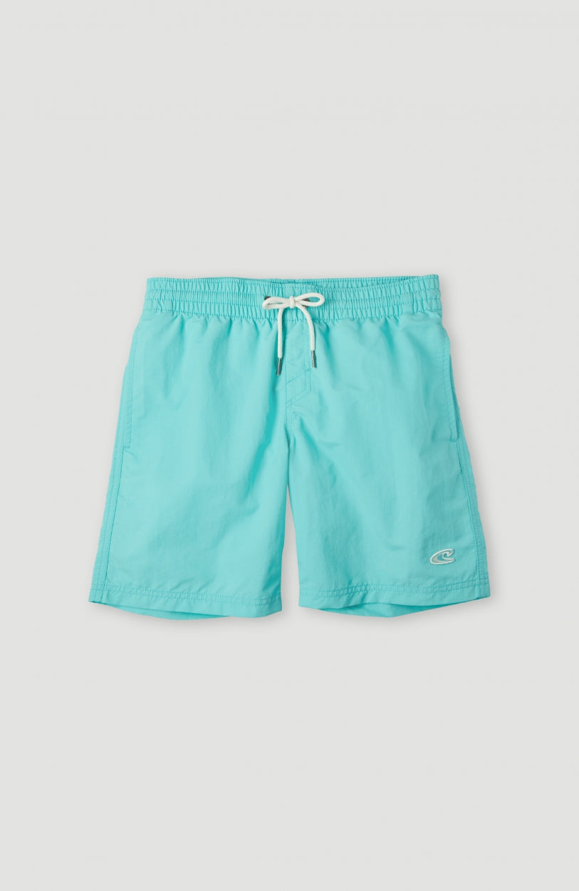 Vert Swim Shorts | Aqua Spalsh