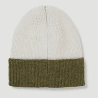 Future Surf Society Beanie | Deep Lichen Green Colour Block