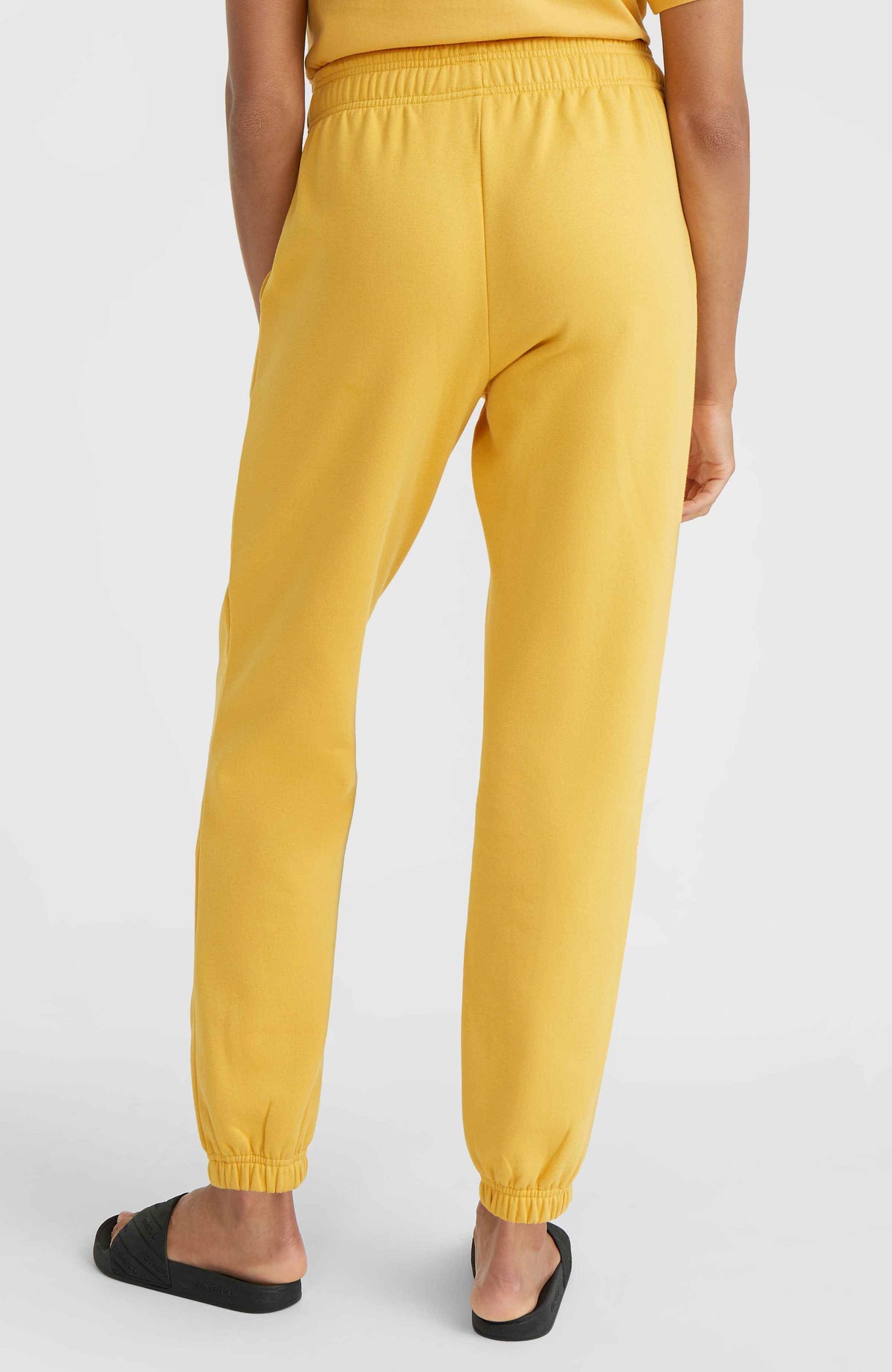 Future Surf Society Jogger Pants | Golden Haze – O'Neill