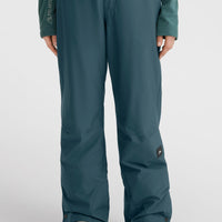 Aplite Regular Snow Pants | Alma Steel