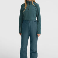 Aplite Regular Snow Pants | Alma Steel