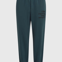 Future Surf Society Sweatpants | Alma Steel