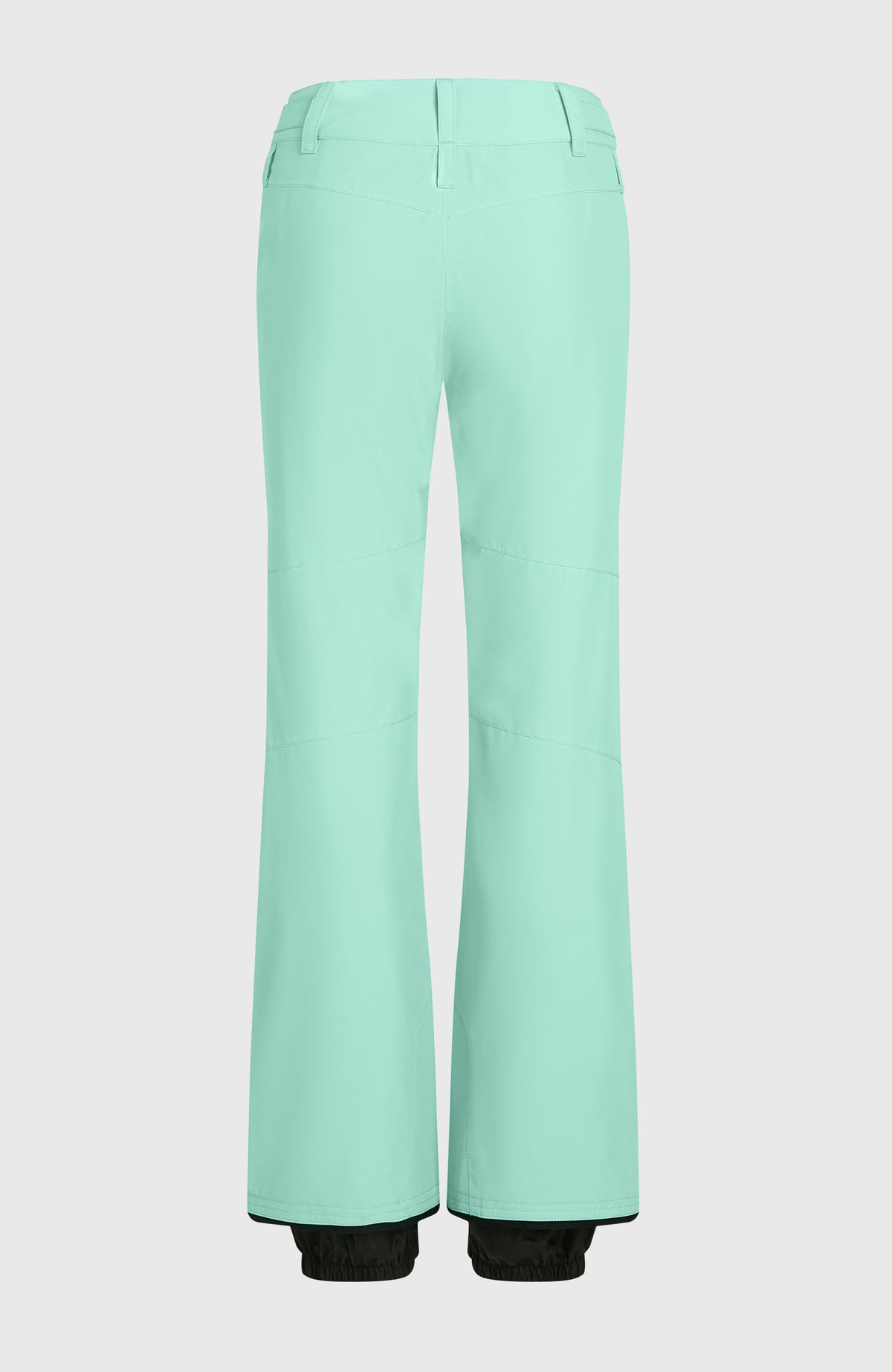 FWC'Cruz Slim Snow Pants | Retro Mint