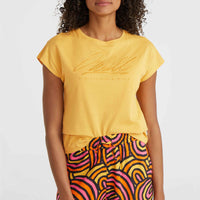Amiri Beach Shorts | Orange Rainbow Stripe