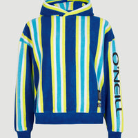 Brights Terry Hoodie | Blue Towel Stripe