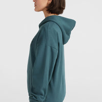 Future Surf Society Hoodie | Alma Steel