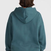 Future Surf Society Hoodie | Alma Steel