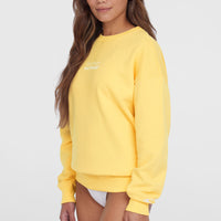 Future Surf Crew Sweatshirt | Tender Buttercup