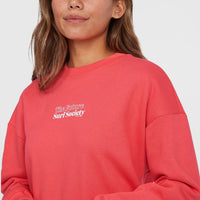 Future Surf Crew Sweatshirt | Froly