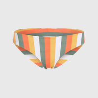 Maoi Bikini Bottoms | Orange Multistripe