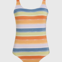 Beach Vintage Swimsuit | Vintage Stripe