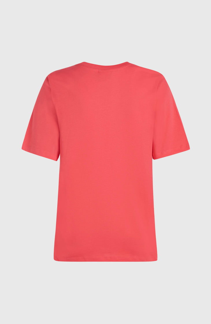 Future Surf Society T-Shirt | Froly