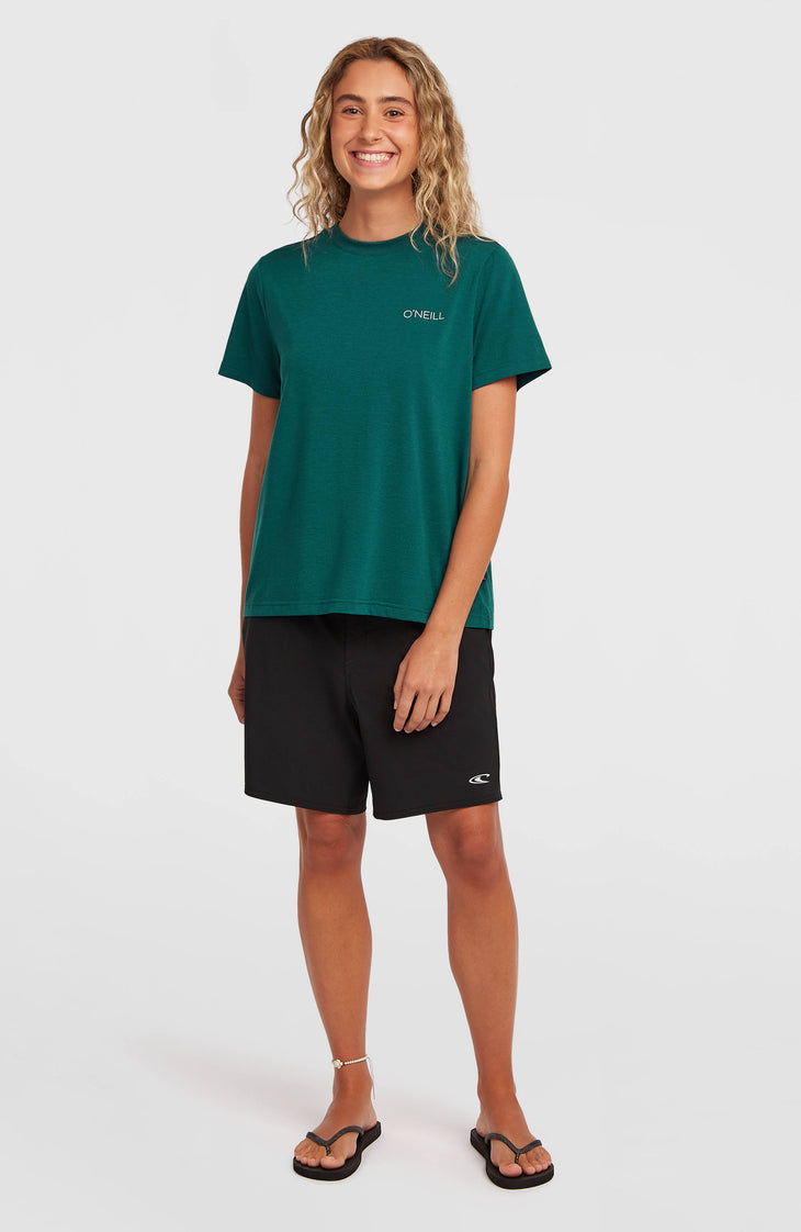 O'Neill Hybrid Polygiene T-Shirt | Botanical Heat