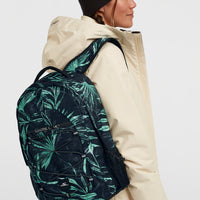 Boarder Small Backpack | Blue Faye