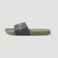 Logo Slides | Deep Lichen Green