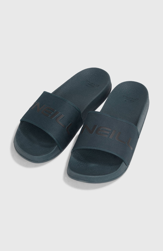 Logo Slides | Alma Steel
