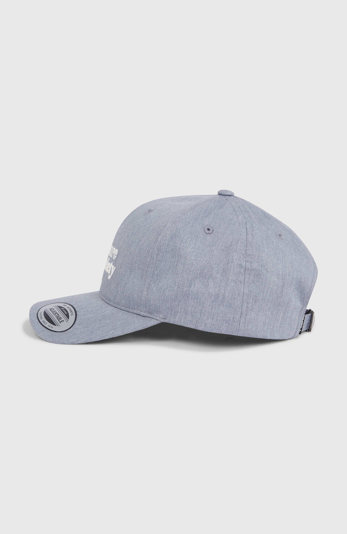 Future Surf Society Cap | Silver Melee